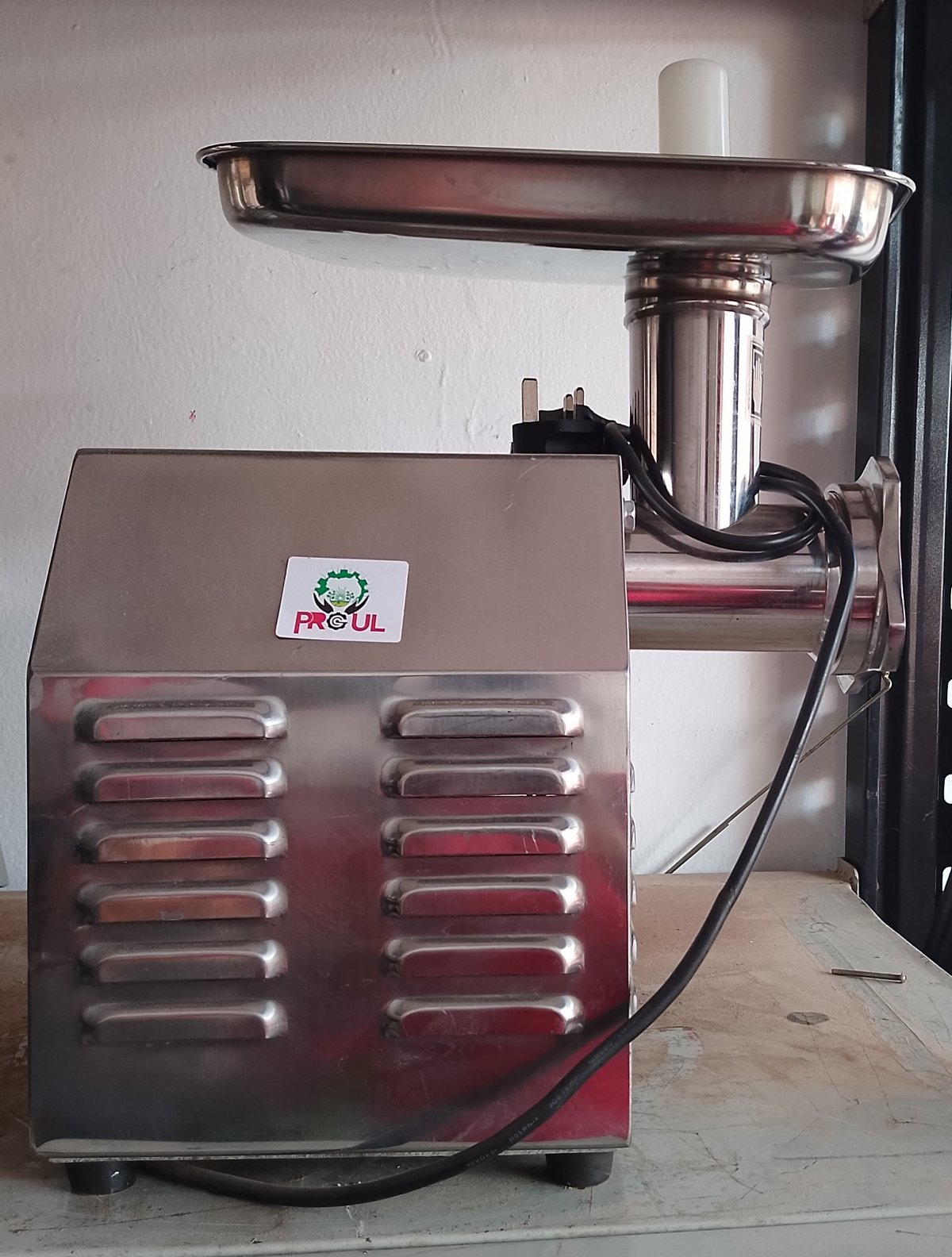 Electric Meat Mincer #12 (120kg/hr, 500W)